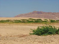 Пустынные пейзажи-Йемен